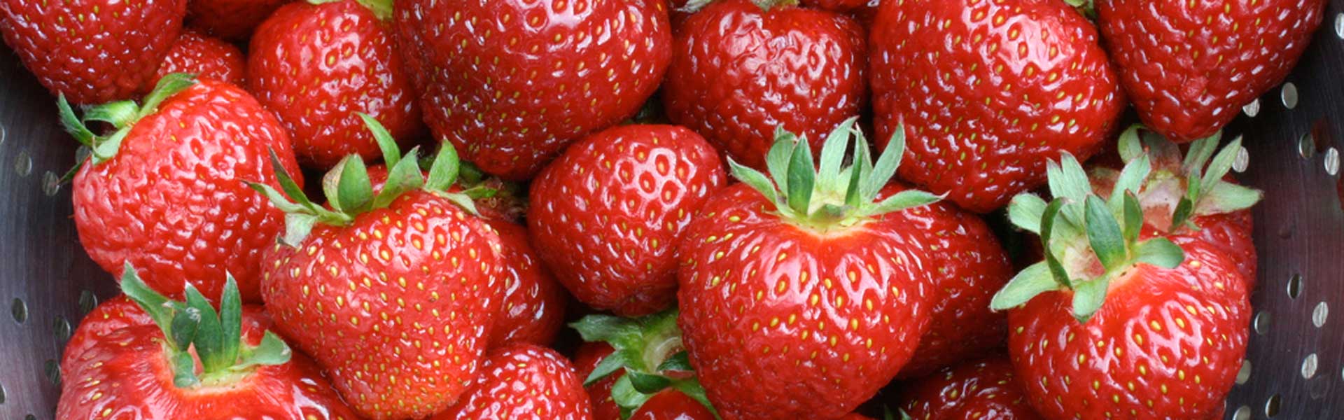 8476-red-strawberries