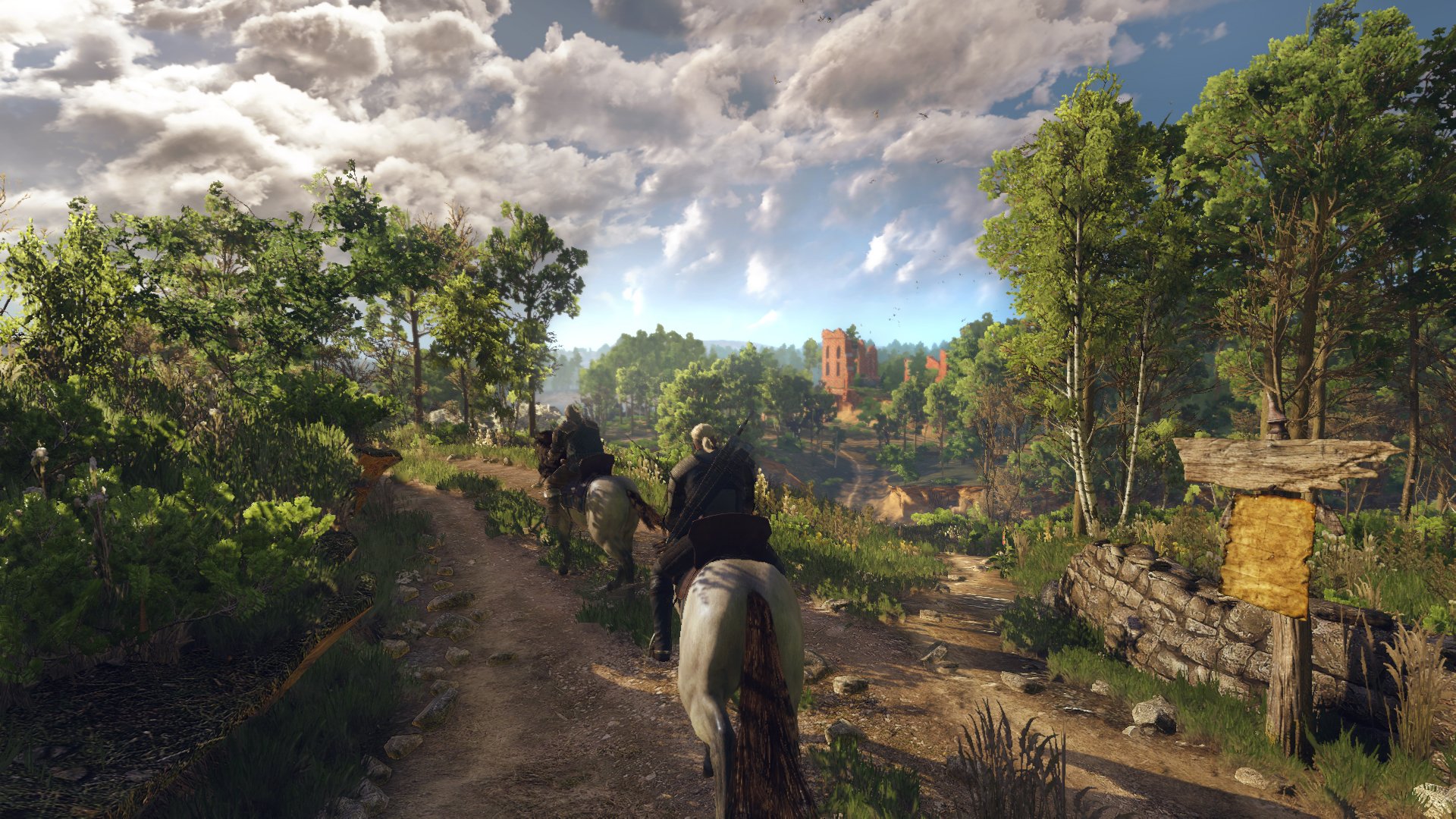 Nvidia drivers the witcher 3 фото 112