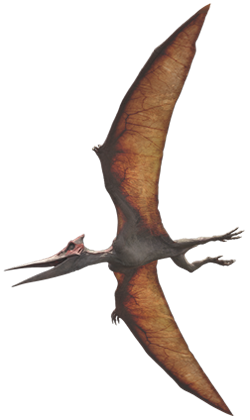 jurassic_world__pteranodon_v2_by_sonichedgehog2-d8ur0my
