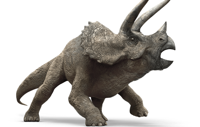 jurassic_world__triceratops_by_sonichedgehog2-d87wqdi