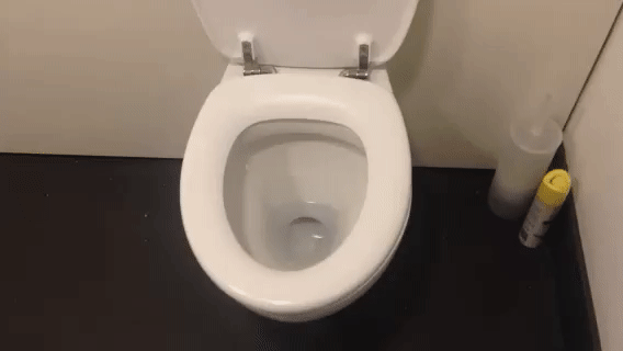 reddit great views where you poo туалеты вид из туалета фото делиться новости отвратительные мужики