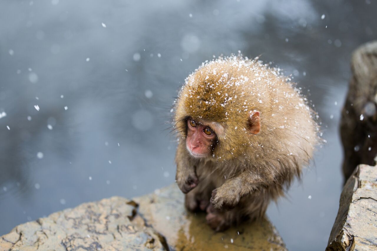 35 фото фотоконкурс