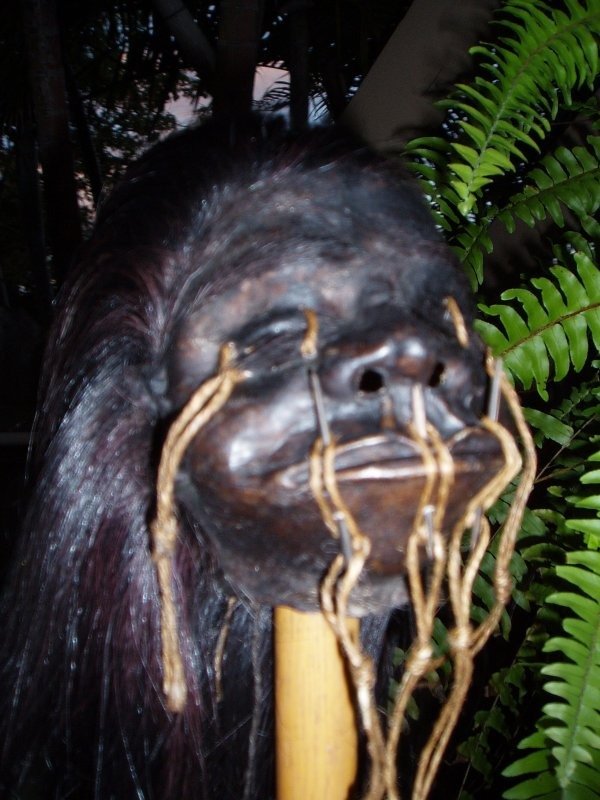 сушеные головы тсантса хиваро индейцы южная америка мумии отвратительные мужики охотники за головами digusting men shrunken heads