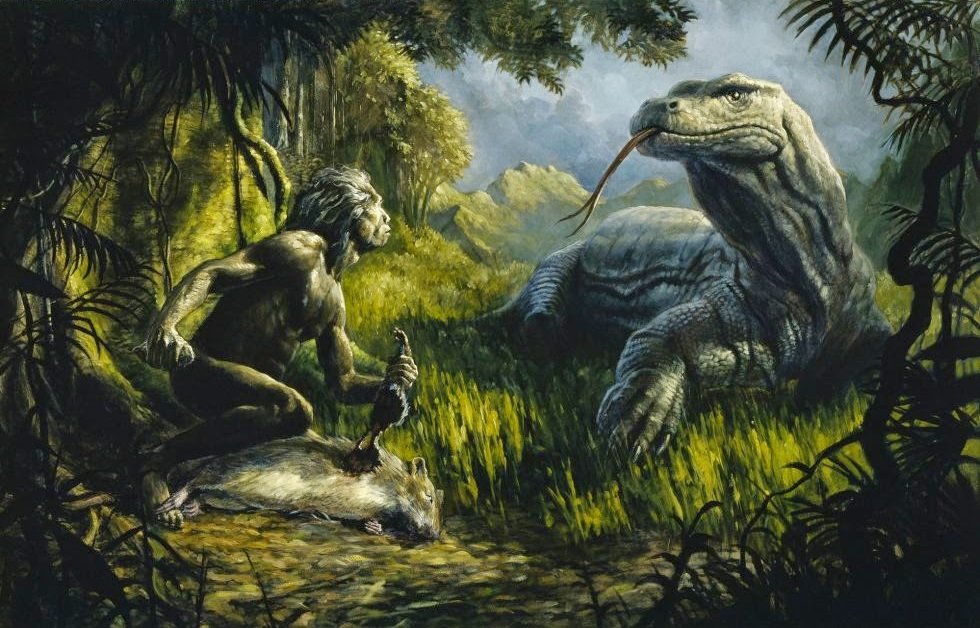 человек флоресский homo floresiensis хоббиты с острова флоренс хоббиты с флоренса отвратительные мужики disgusting men