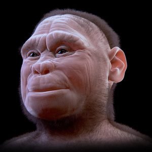 человек флоресский homo floresiensis хоббиты с острова флоренс хоббиты с флоренса отвратительные мужики disgusting men