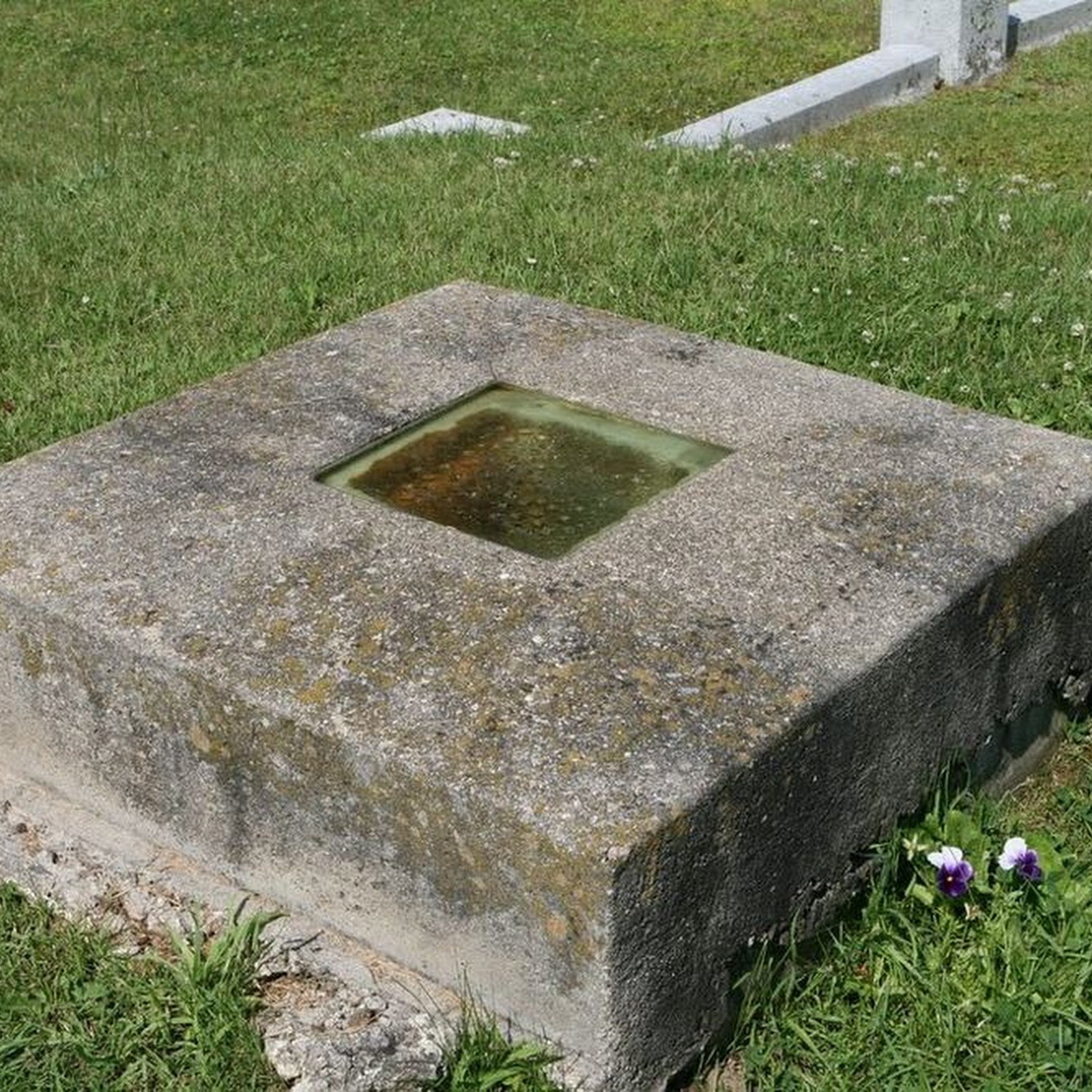 safety coffin безопасные гробы безопасный гроб история отвратительные мужики disgusting men