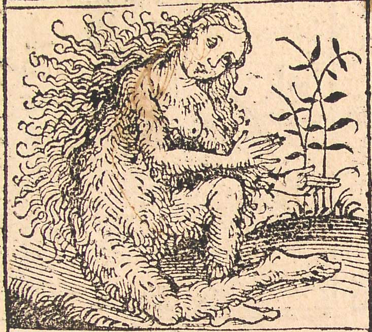 бестиарий нюрнбергская хроника средневековые монстры средневековые миниатюры отвратительные мужики