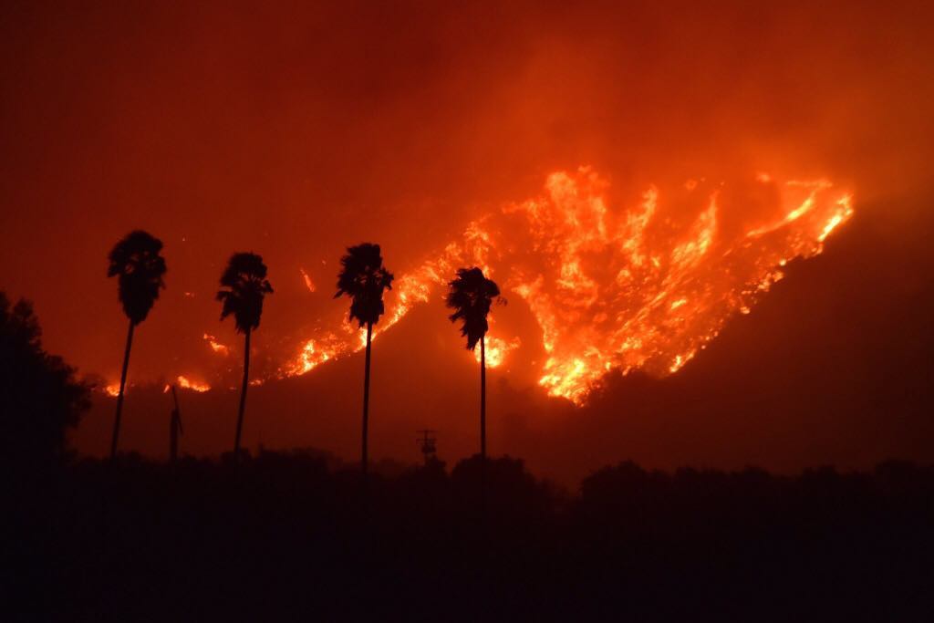 пожар в калифорнии парадайз фото отвратительные мужики disgusting men