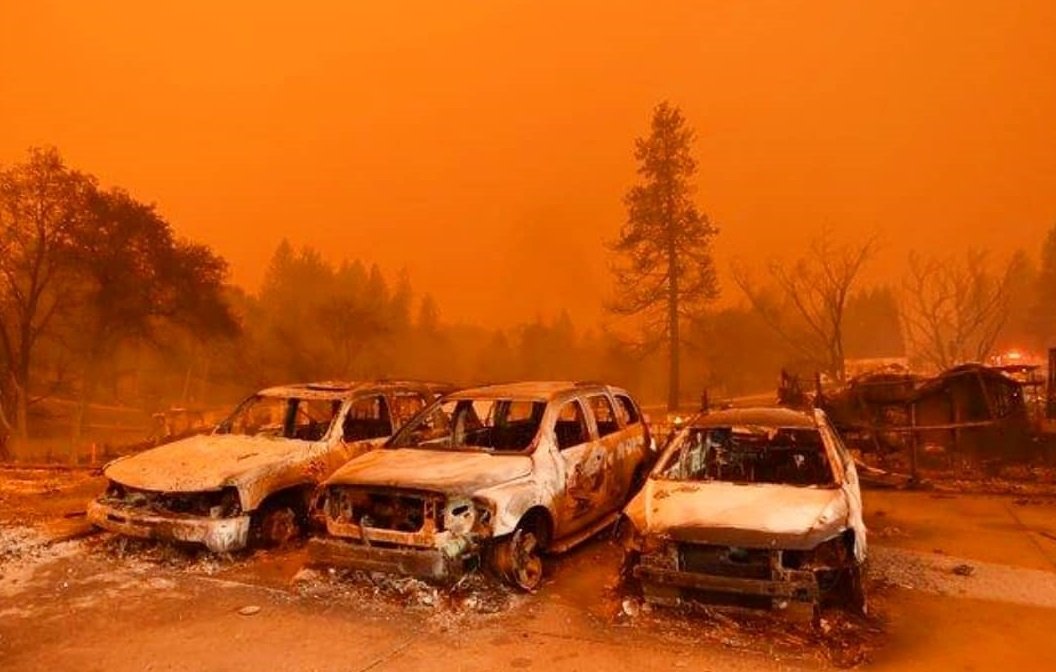 пожар в калифорнии парадайз фото отвратительные мужики disgusting men