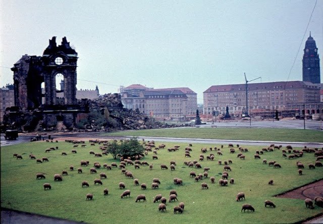 Как Восточная Германия строила коммунизм, чуть не разорилась и стала  свободной