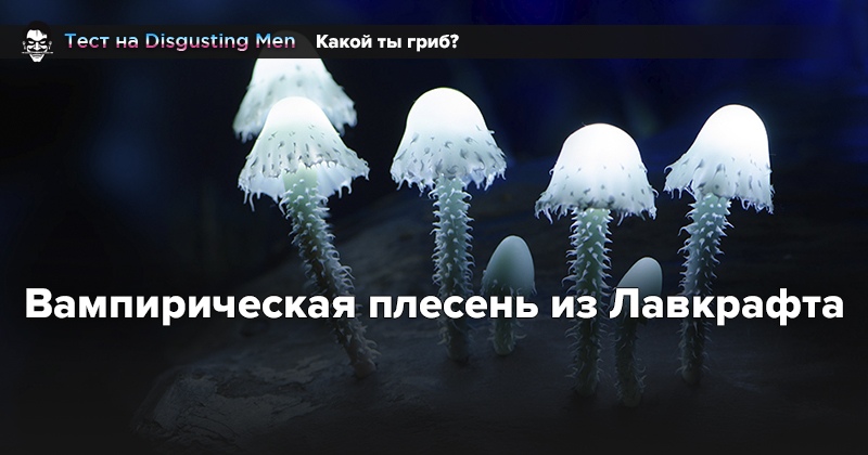 Мэд тест. Тест на сумасшедшего. Тест на сумасшедшего. Психологические картинки что вы видите. Тест безумно.