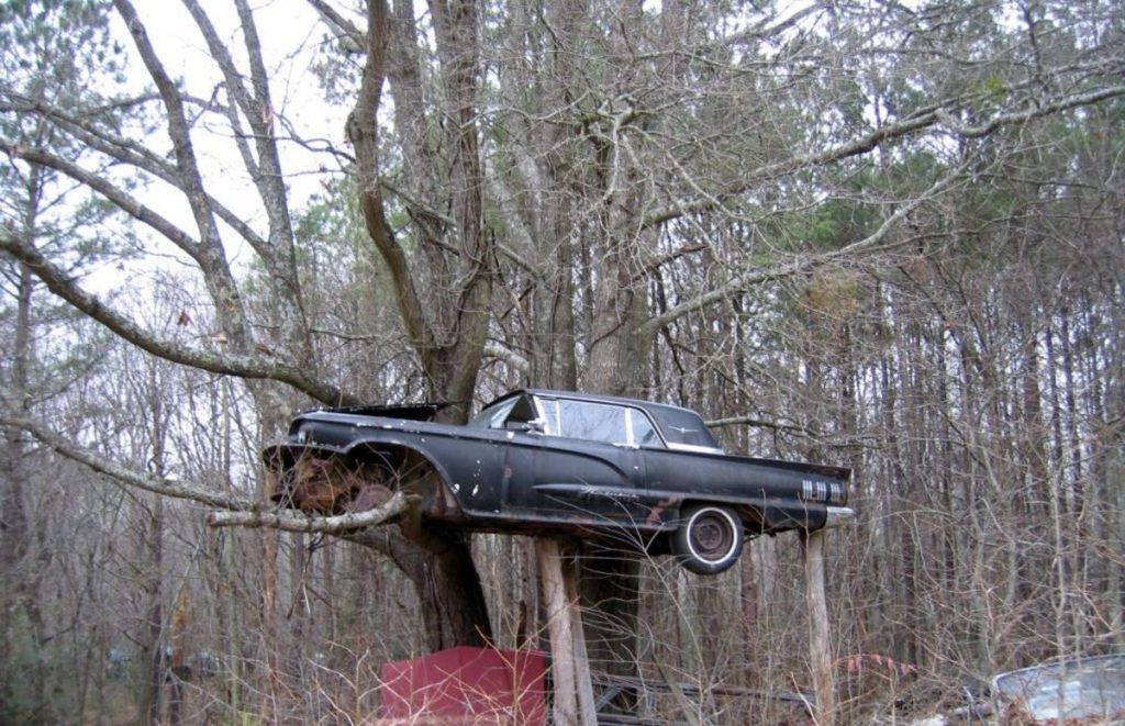 старинные машины заброшенные машины через которые растут деревья отвратительные мужики