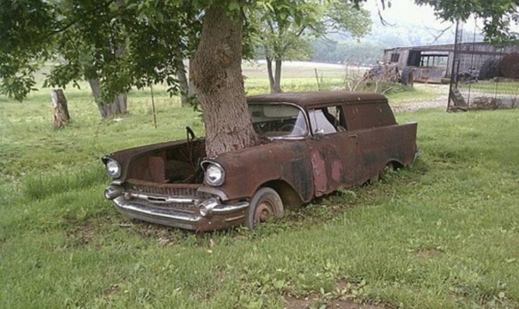 старинные машины заброшенные машины через которые растут деревья отвратительные мужики