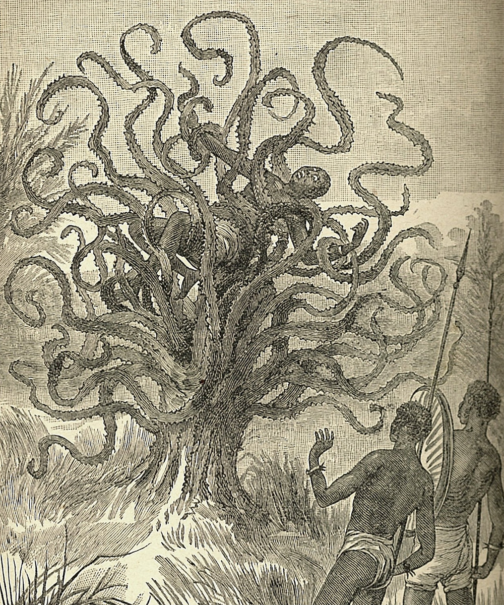 Доброе и злое дерево рисунок