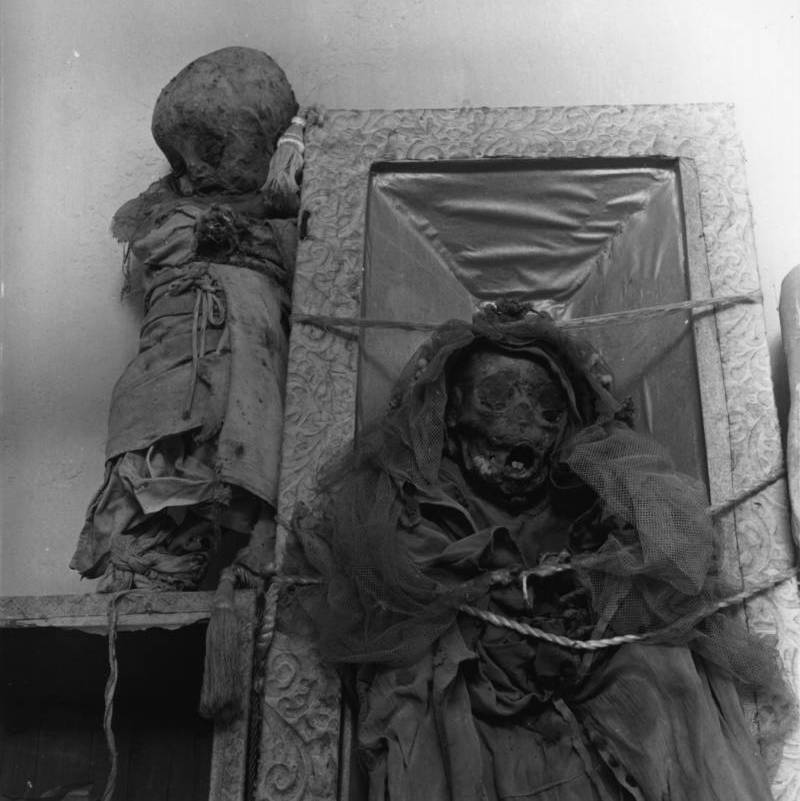 Мексиканские мумии из Гуанахуато