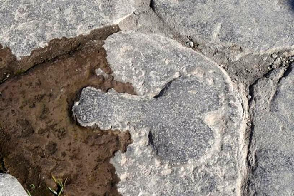 древнеримские бордели лупанарий следы в виде фаллосов