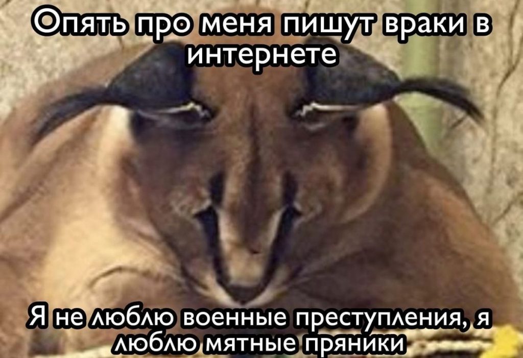 шлепа большой русский кот мем