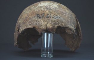 Археологи нашли самый древний штамм чумы: ему больше 5000 лет