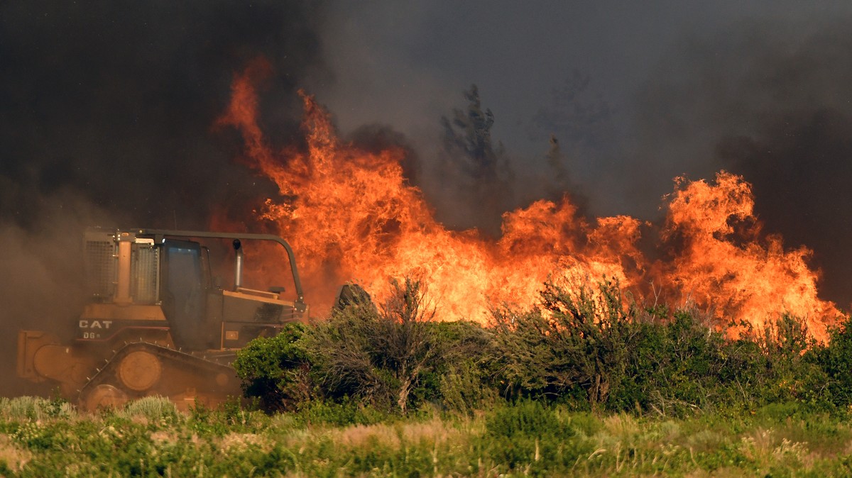 калифорния конопляные фермы горят пожар в калифорнии лесные пожары