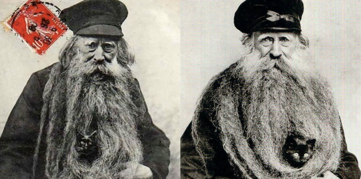 почему борода польза бороды фото