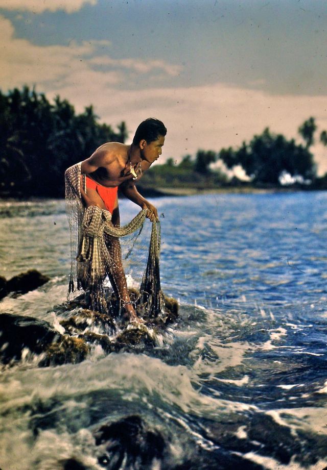 Потрясающие, солнечные и почти девственные Гавайи на фото 1950-х