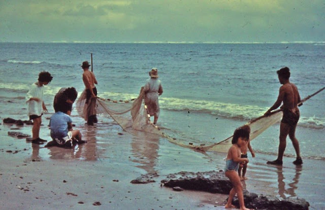 Потрясающие, солнечные и почти девственные Гавайи на фото 1950-х