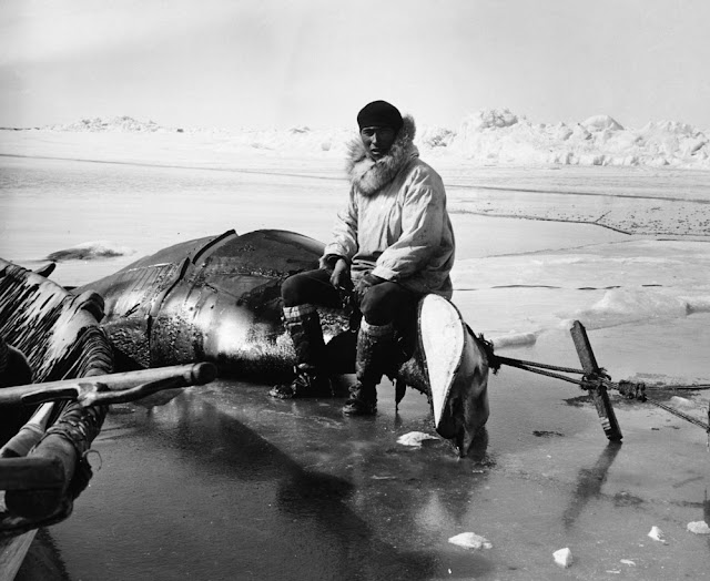 ангст каякера эскимосы арктическая истерия