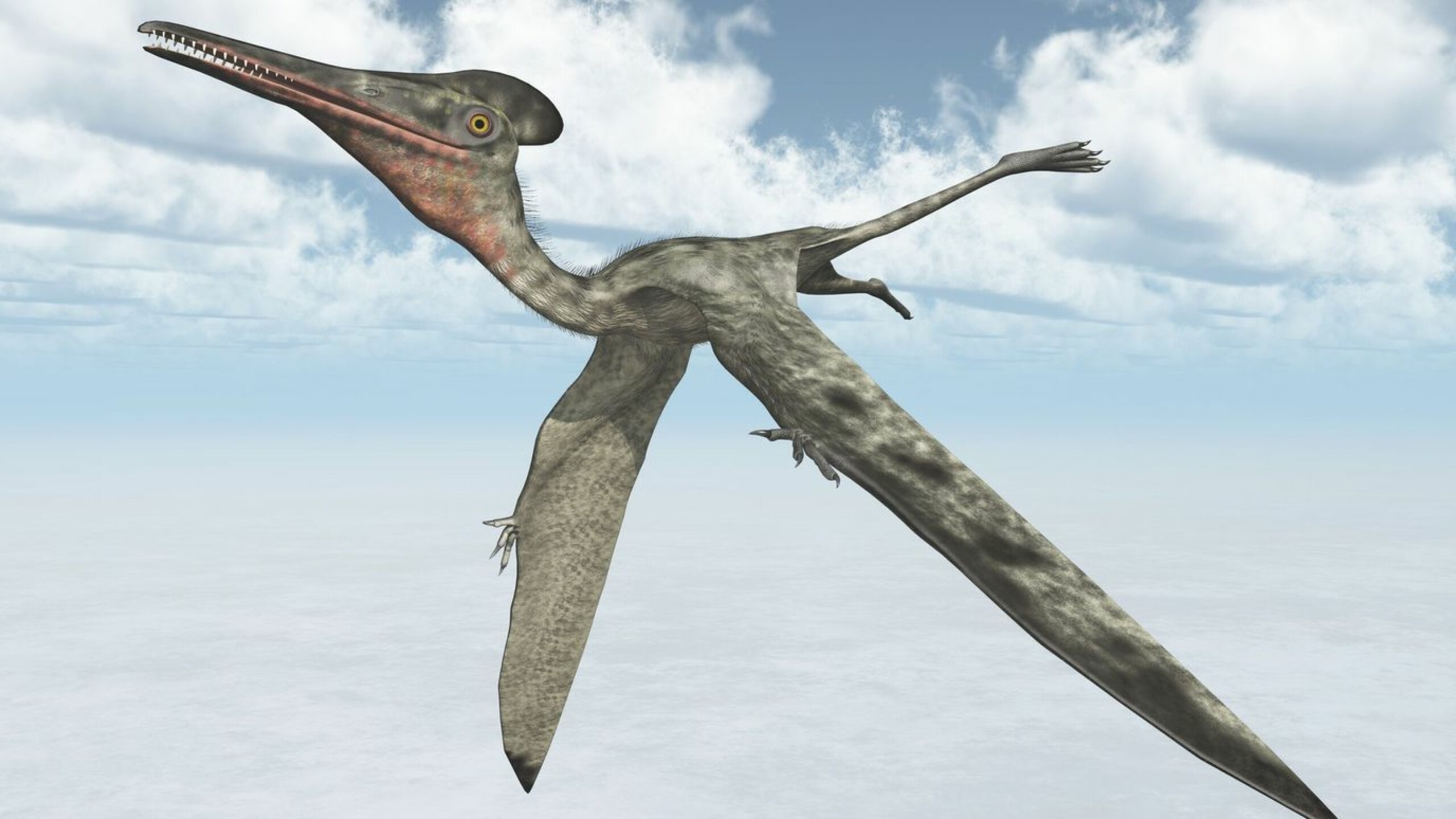 видео как оседлать птерозавра птерозавр летающий динозавр