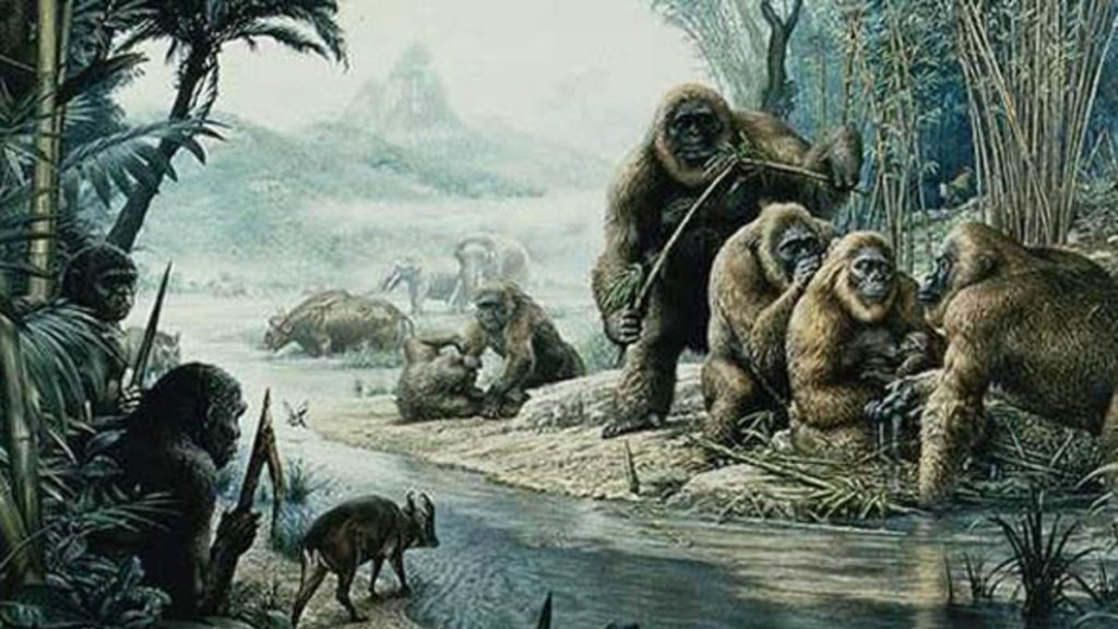 гигантопитеки и эректусы homo erectus