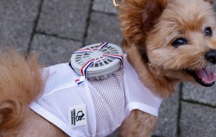В Японии изобрели спецкостюмы для охлаждения собак