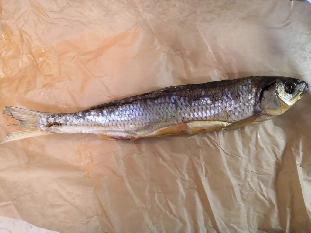 Рыба из Дагестана - кутум: фото, виды, особенности