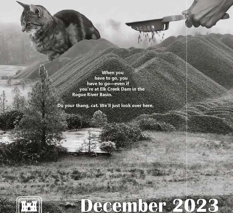 американская армия календарь с котами