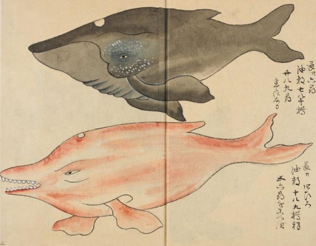 киты китобойный промысел в японии эпоха эдо