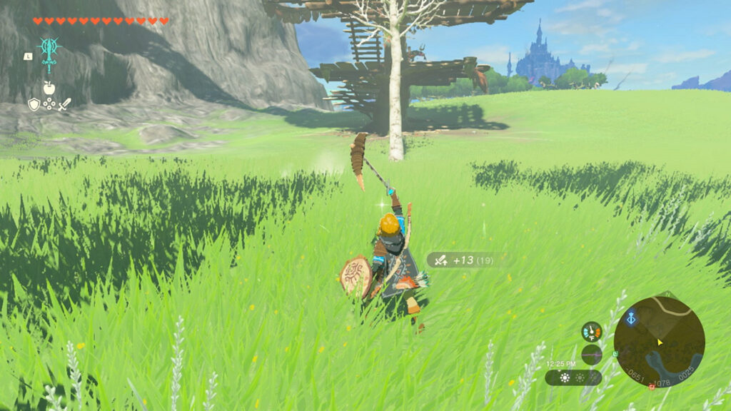 Скриншот из The Legend of Zelda: Tears of the Kingdom для Nintendo Switch