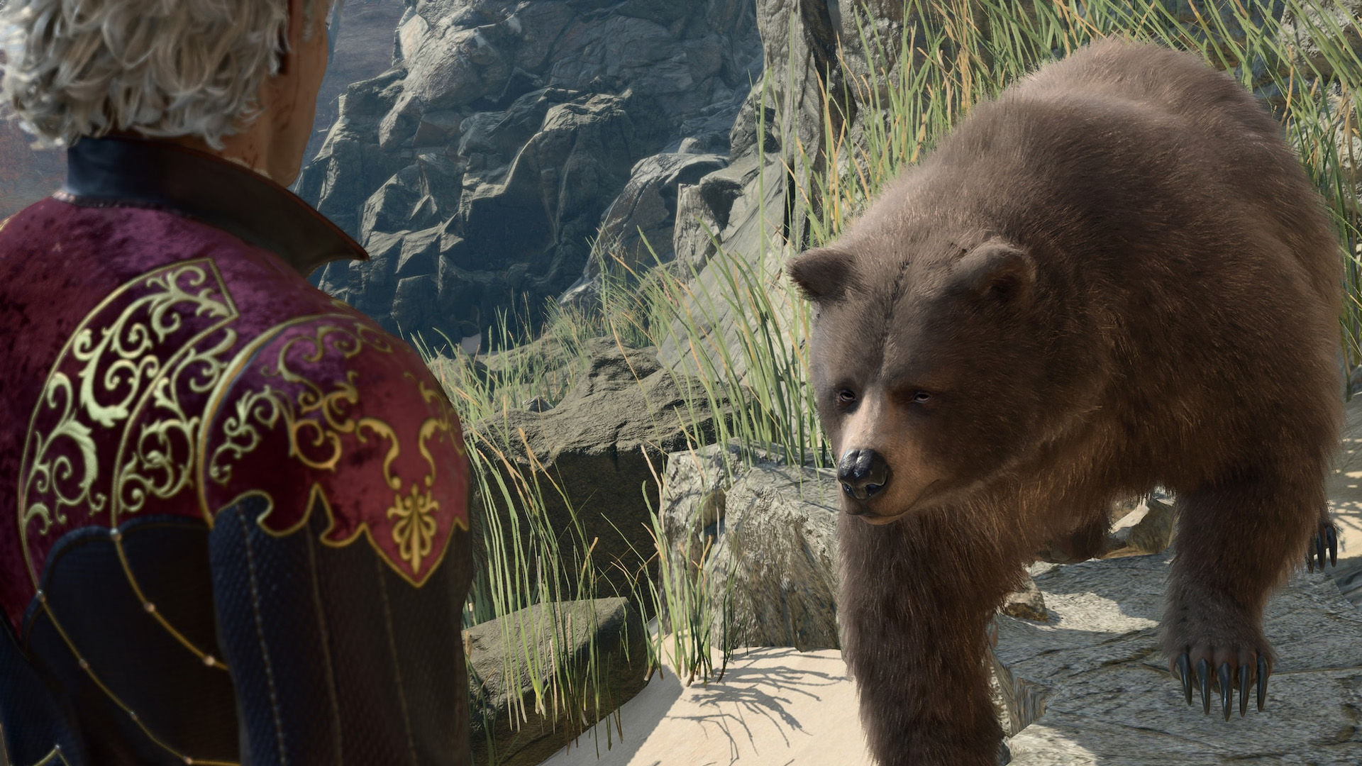 Скриншот из ПК-версии Baldur's Gate 3. Медведь в Baldur's Gate 3