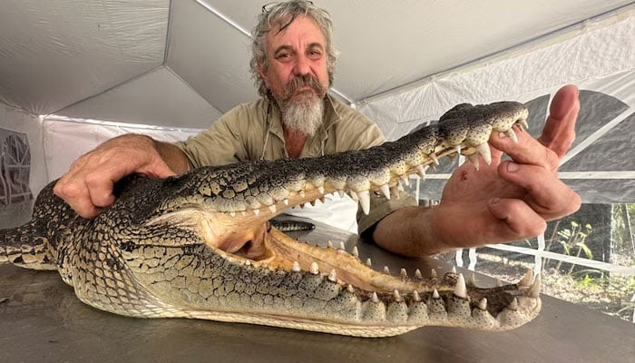 мужчина из австралии австралия крокодилы