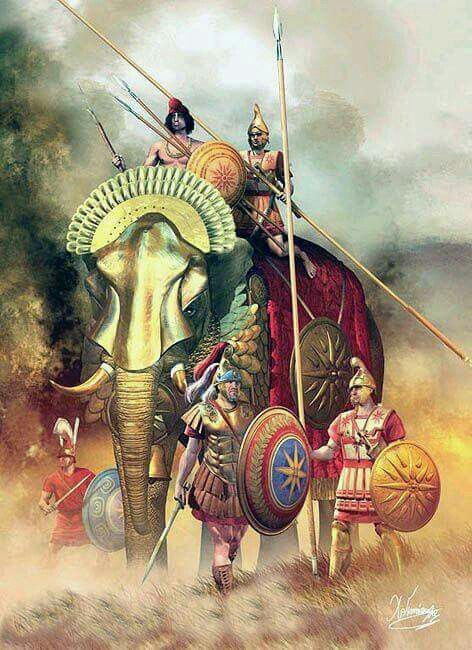 наш слон боевые слоны армии древнего мира