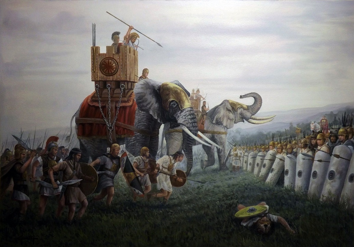 наш слон боевые слоны армии древнего мира