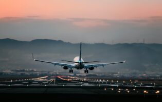 Понедельник начинается с дичи! Очередной голый дебош в самолёте