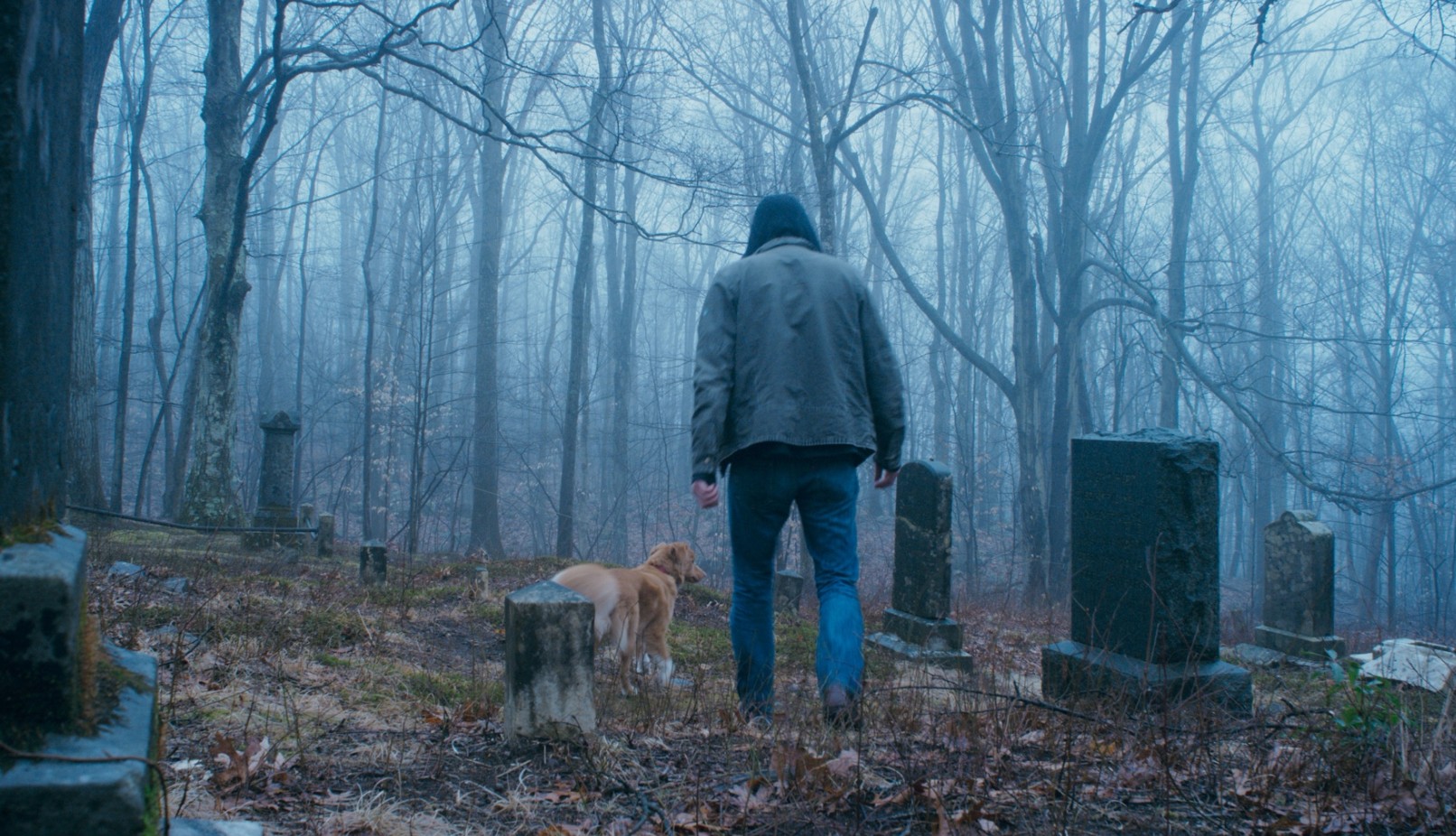 глазами пса фильм