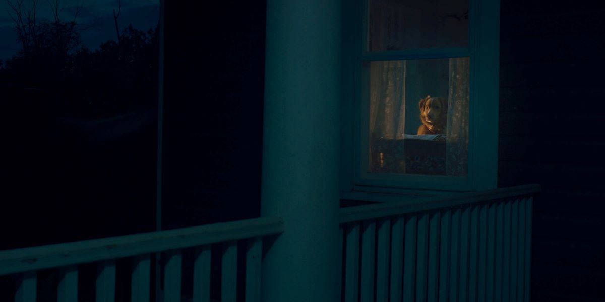 глазами пса фильм