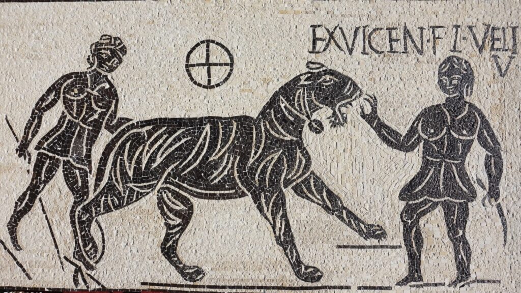 Звери тоже сражались на арене