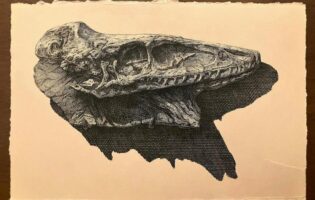 Гравюры вечных снов: арт художницы Saprophial