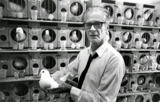 Забавно, страшно, коротко: лучшие так себе истории 2025 года