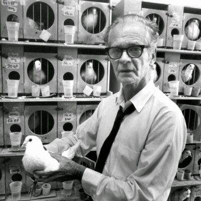 Забавно, страшно, коротко: лучшие так себе истории 2025 года