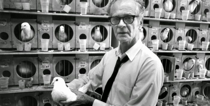 Забавно, страшно, коротко: лучшие так себе истории 2025 года