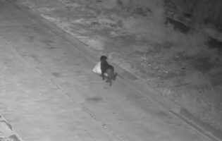 Понедельник начинается с дичи! Внимание: собачка выносит мусор