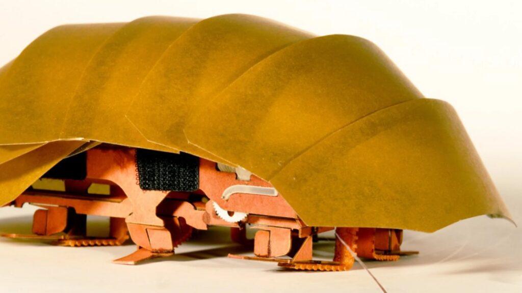 Удивительные факты об насекомых — молоко таракана суперфуд