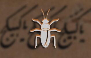 Тараканы — круче, чем мы думаем