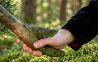 Зелёные братья: 5 растений, которым должен сказать спасибо каждый мужик